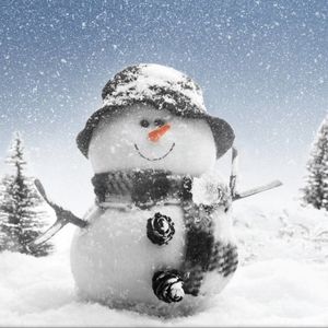 🦈🌊PRICE DROPS🌊🦈